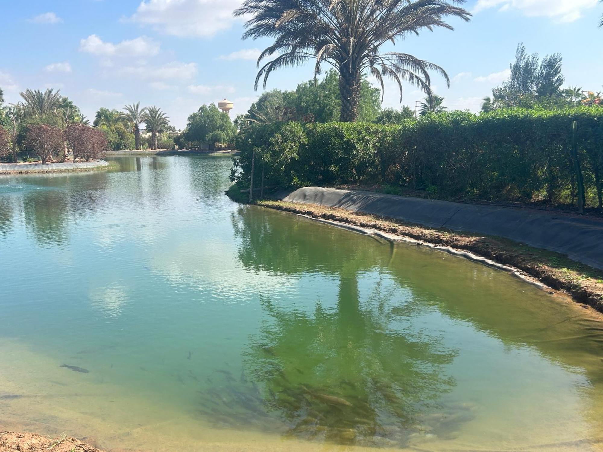 Villa Louisa Piscine Privee Sans Vis A Vis Dyar Shemsi Taroudant Exterior foto